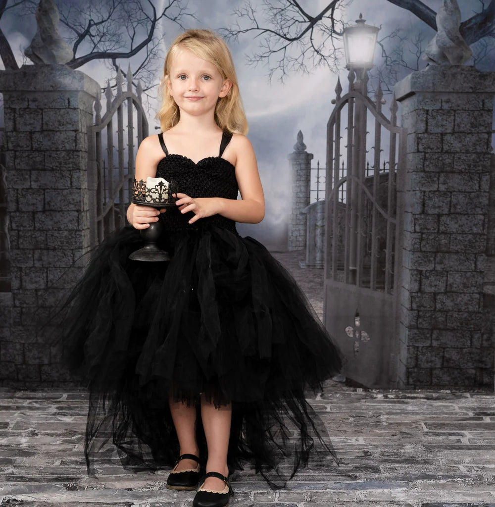 Kate Halloween fabric Backdrop for photography Haunted house