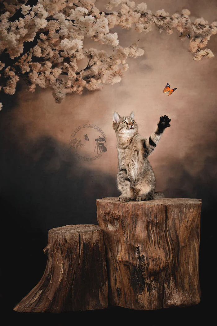 Kate Abstract Background With Flowers Backdrops for Photography - Kate Backdrop AU