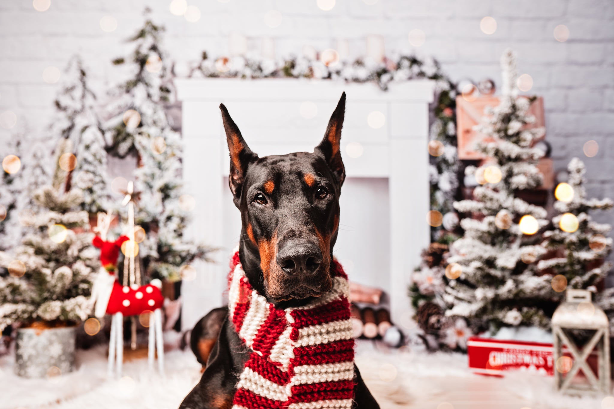 Kate Christmas Brick Fireplace Backdrop Designed by Emetselch