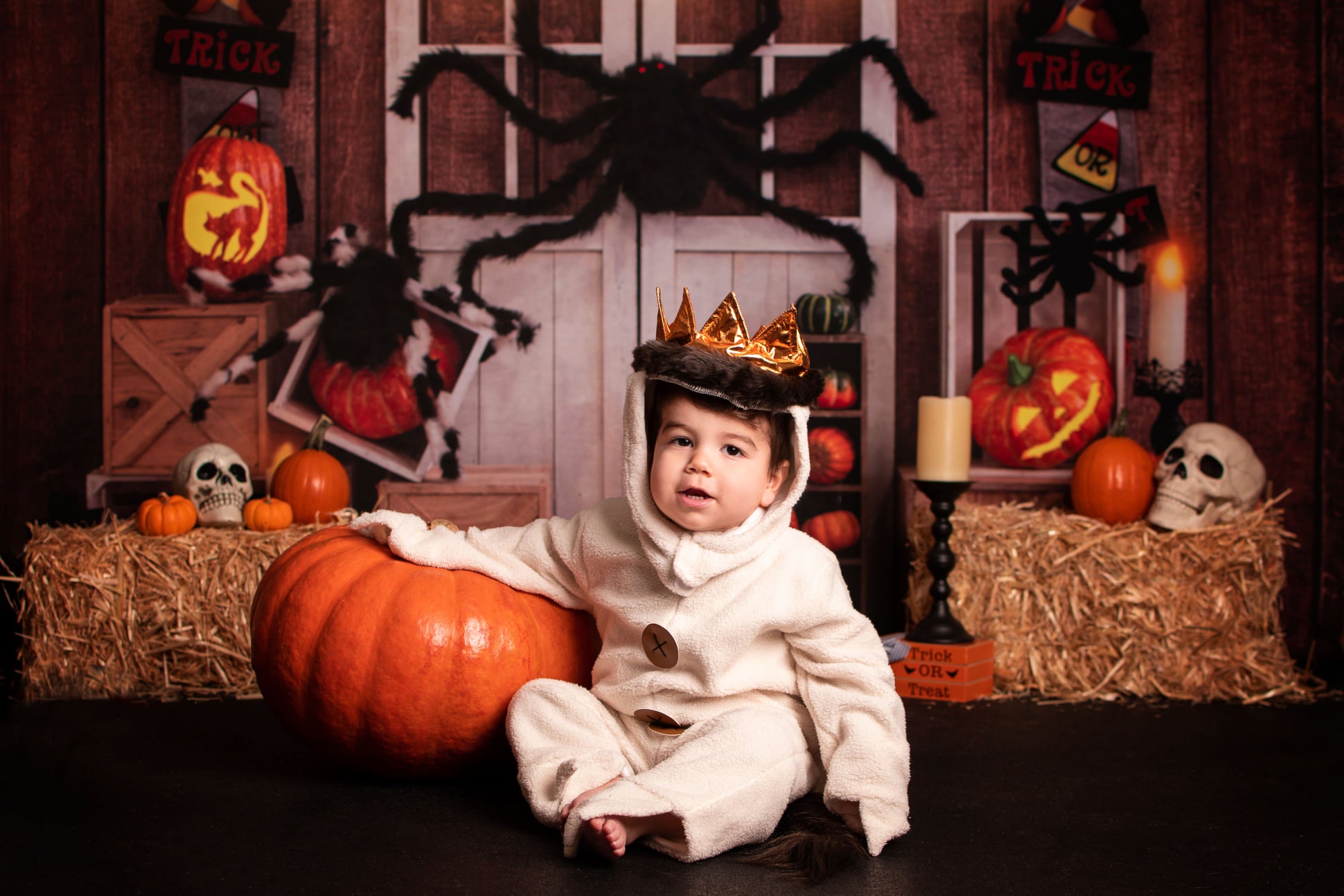 Kate Halloween Pumpkin Spider Thanksgiving Backdrop Designed by Emetselch