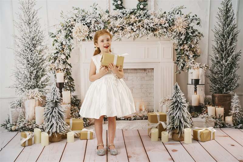 Kate Christmas Fireplace Garland Backdrop Designed by Emetselch - Kate Backdrop AU