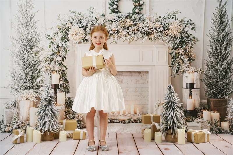 Kate Christmas Fireplace Garland Backdrop Designed by Emetselch - Kate Backdrop AU