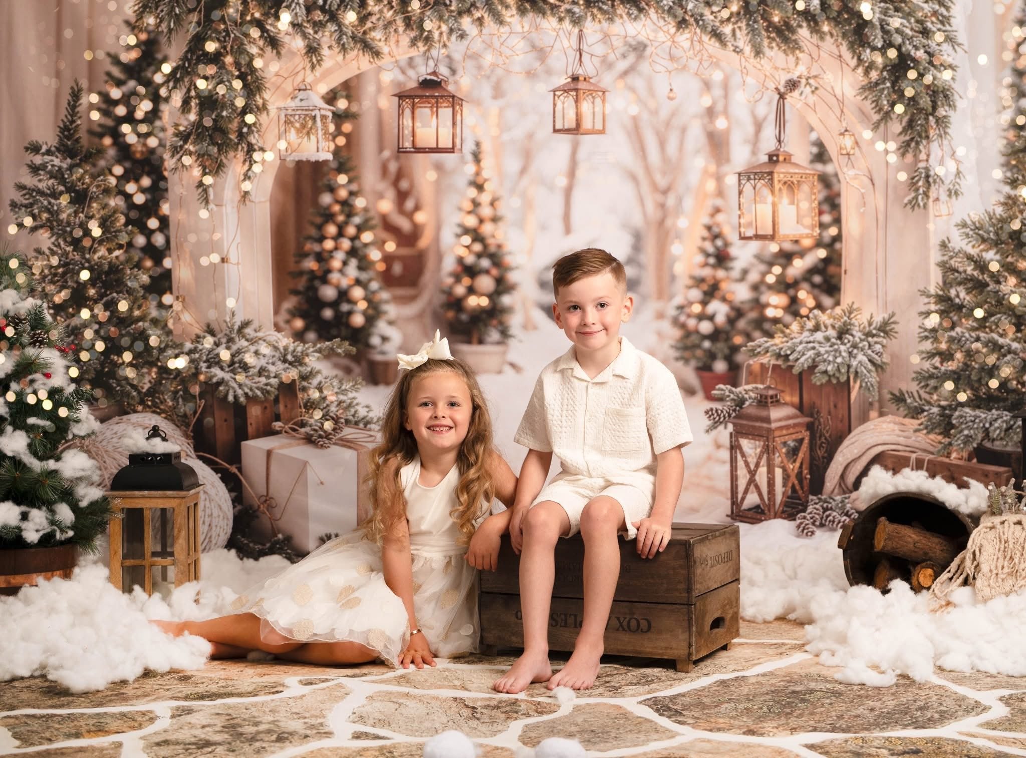 Kate Snow Christmas Arch Backdrop Designed by Emetselch - Kate Backdrop AU
