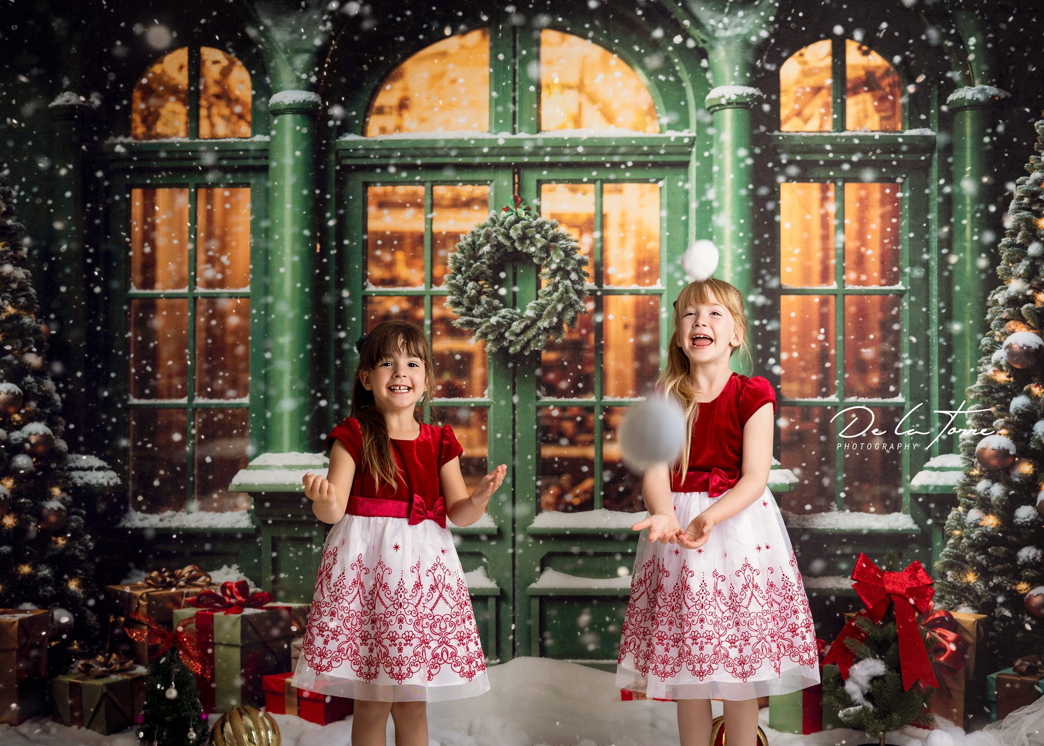 Kate Snow Green Christmas Shop Backdrop Designed by Emetselch - Kate Backdrop AU
