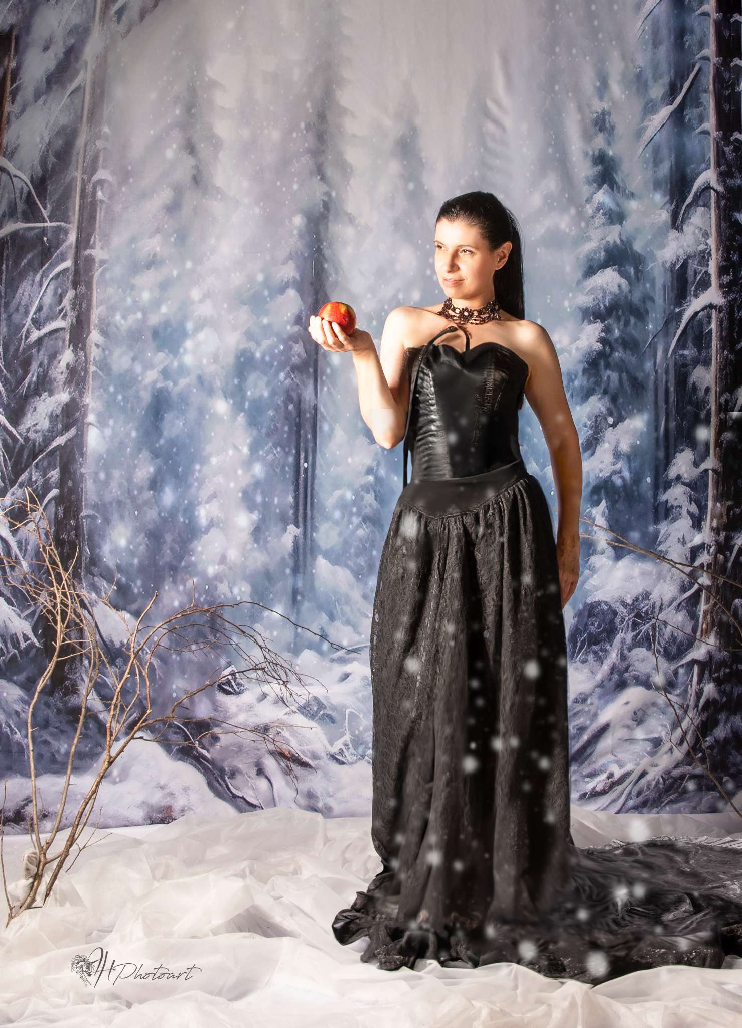 Kate Winter Snow Forest Backdrop Designed by Chain Photography