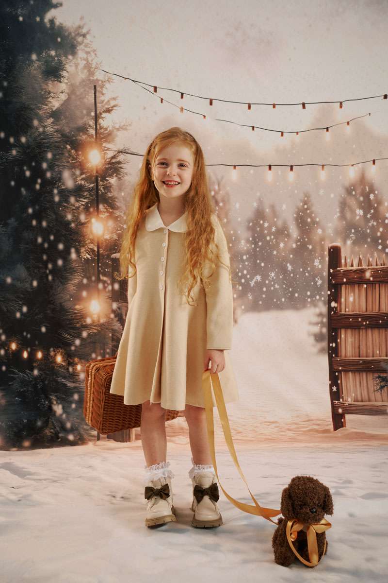 Kate Sweep Winter Snow Gate Backdrop Designed by Chain - Kate Backdrop AU