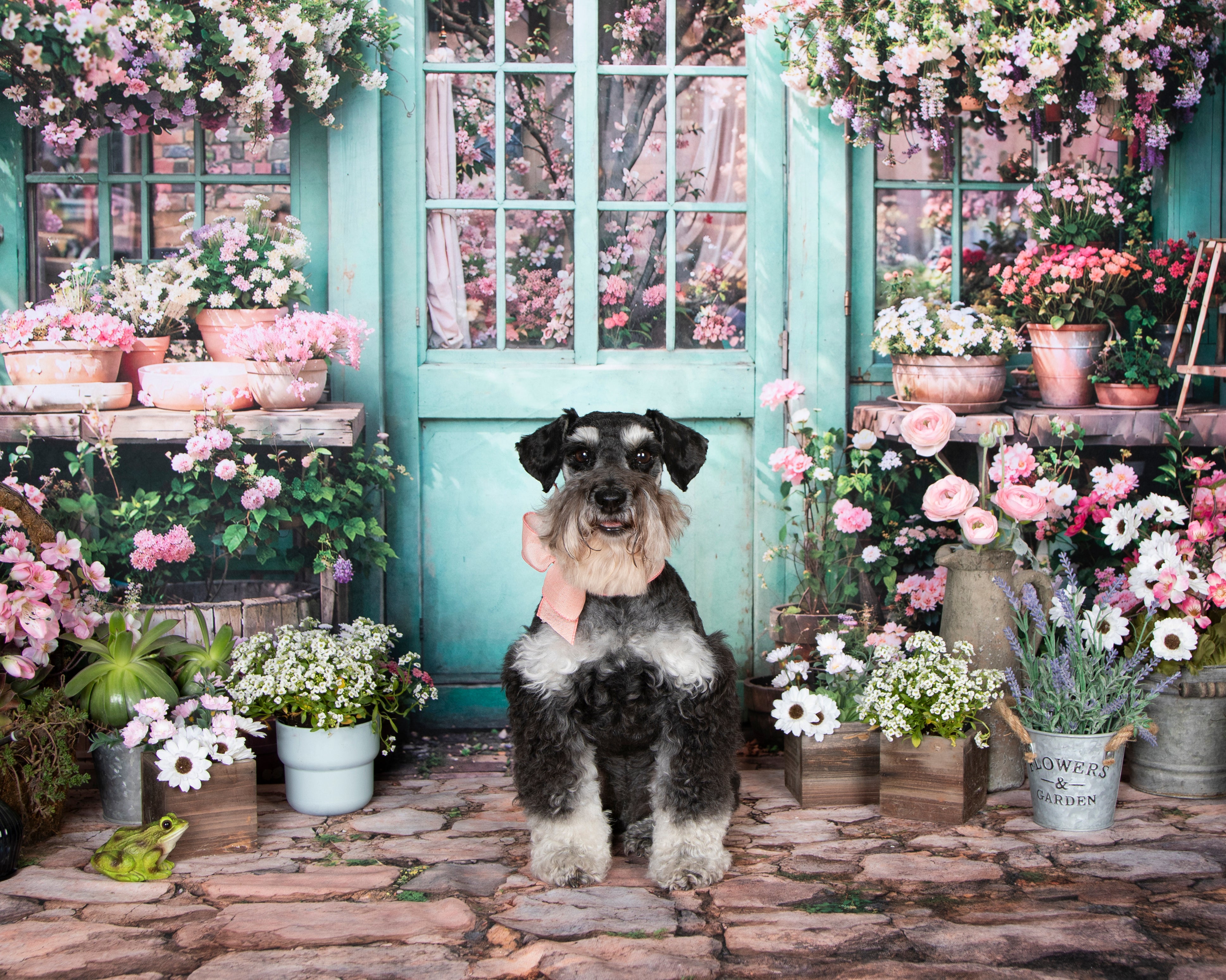 Kate Spring Flowery Garden Room Set(8ftx8ft&10ftx8ft&8ftx10ft) - Kate Backdrop AU
