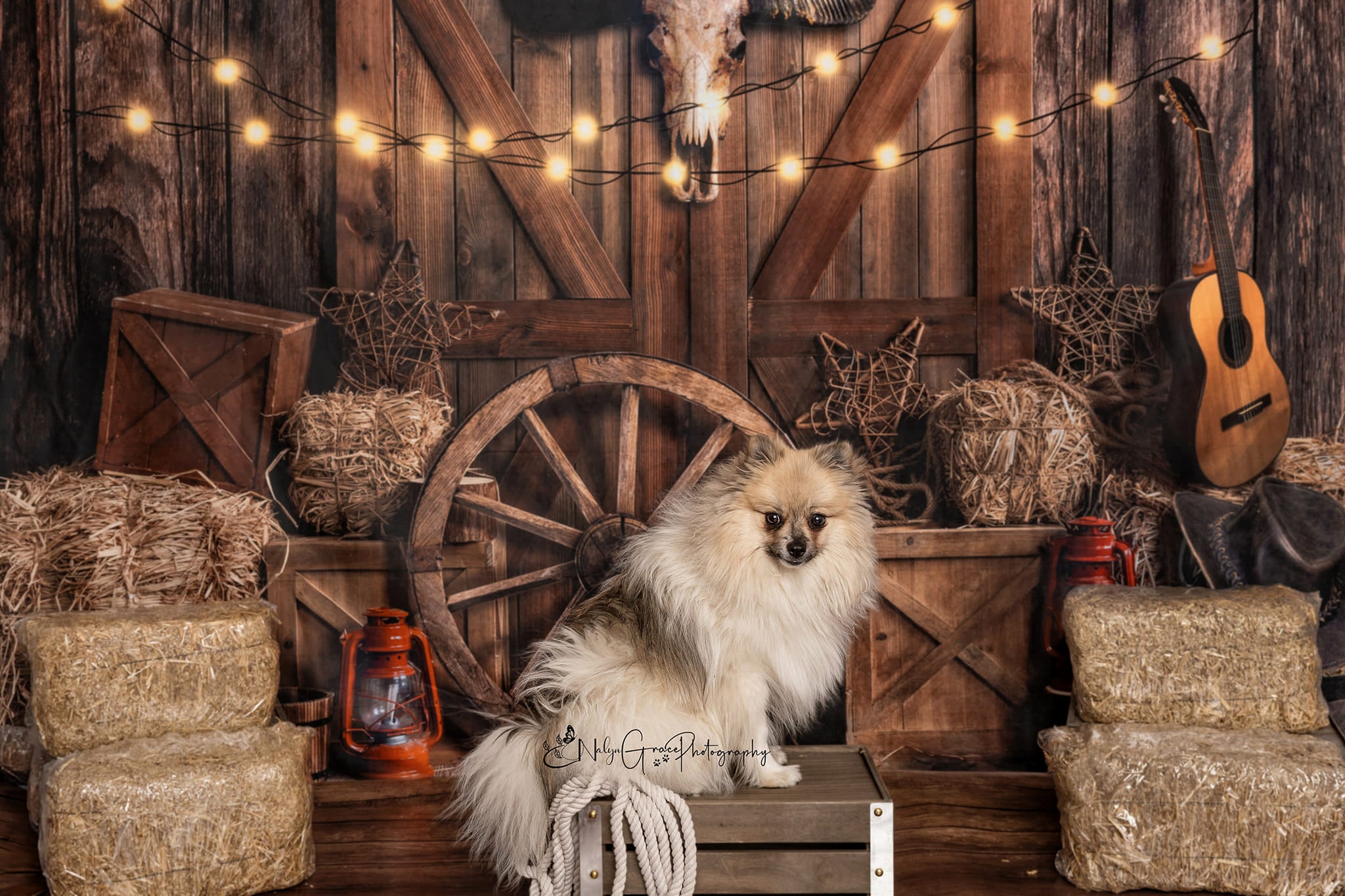 Kate Cow Boy Farm Backdrop Designed by Emetselch - Kate Backdrop AU