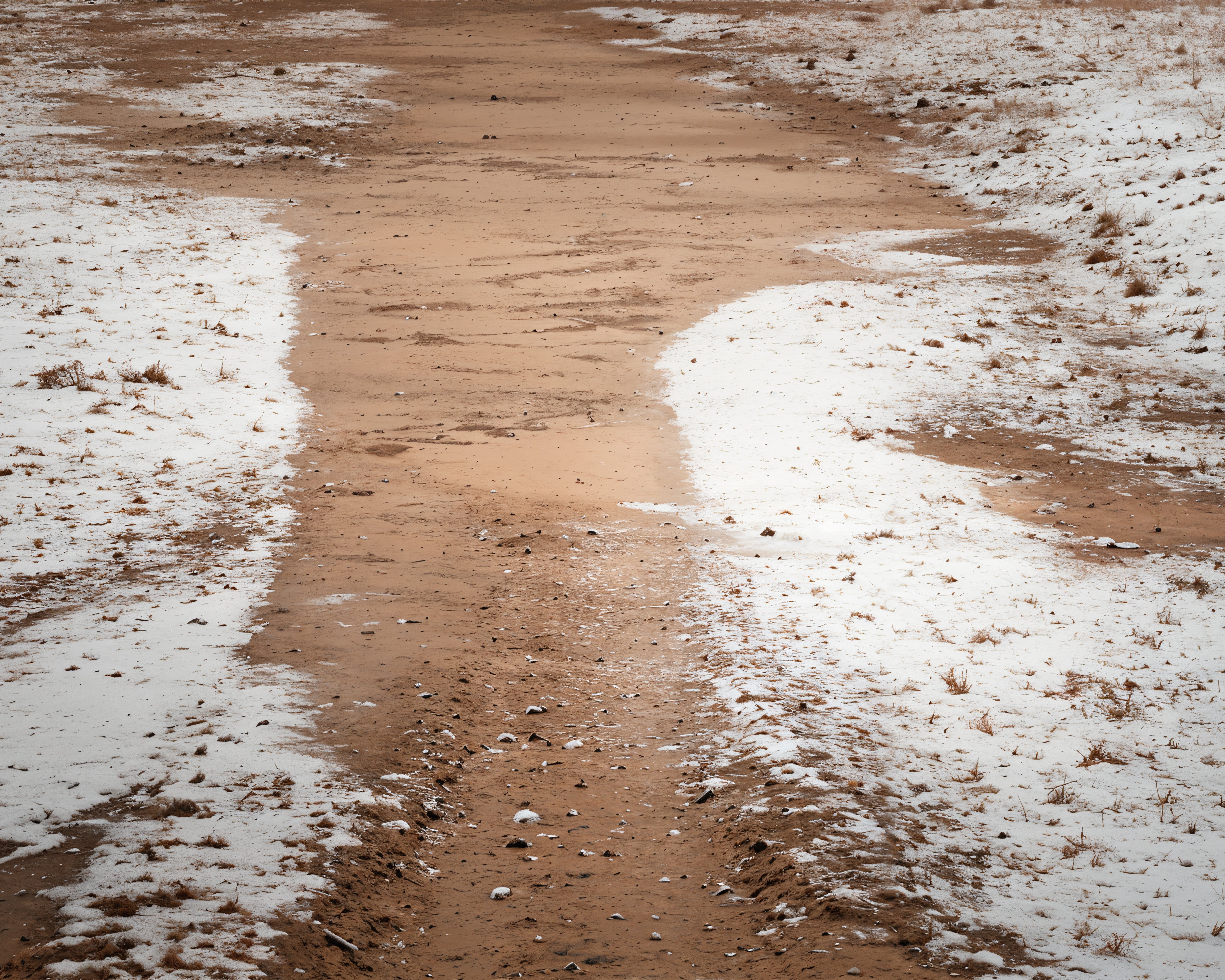 Kate Winter Snowy Path Rubber Floor Mat