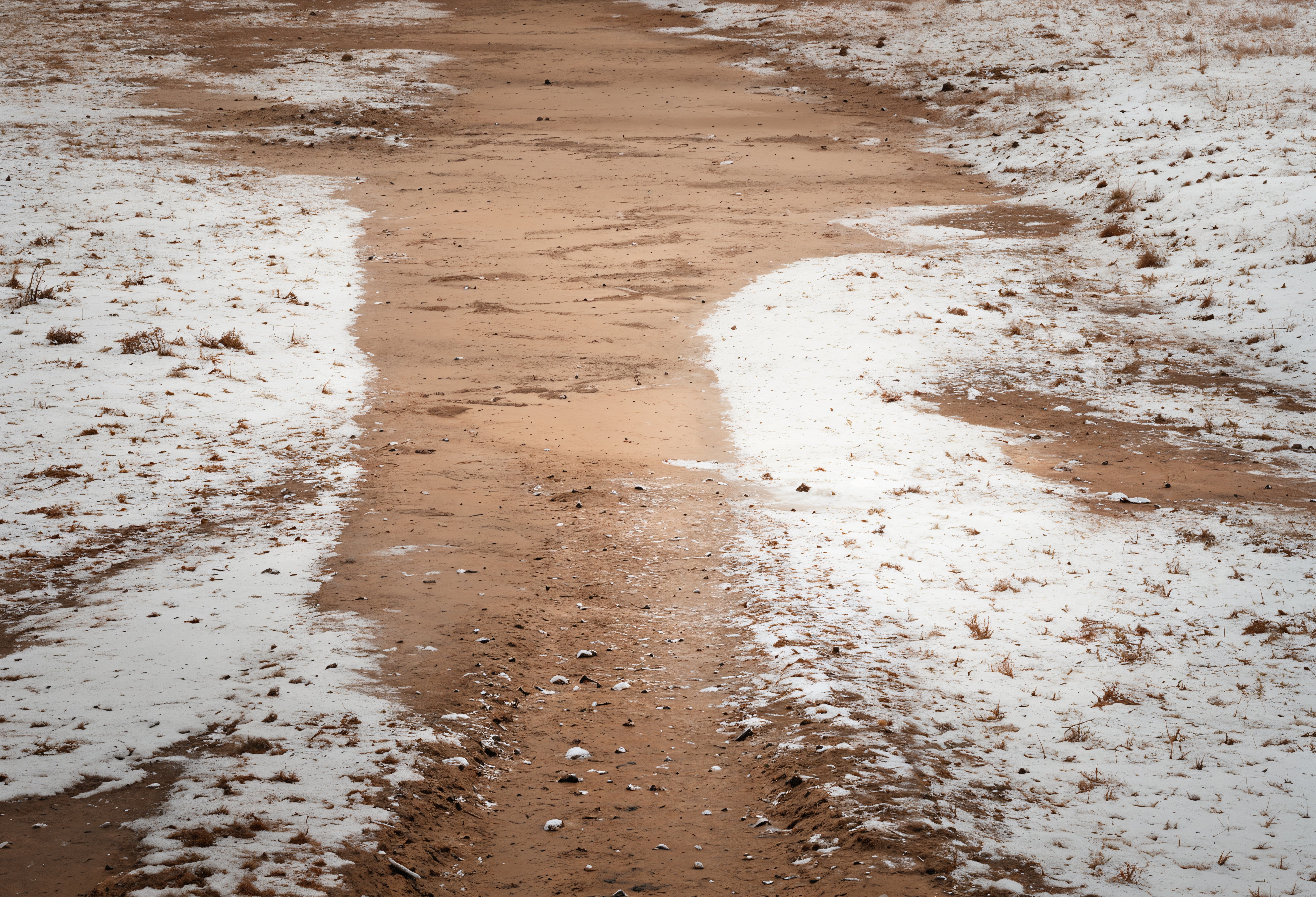 Kate Winter Snowy Path Rubber Floor Mat