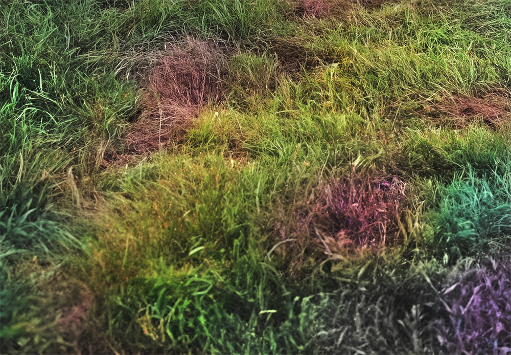 Kate Outdoor Rainbow Unicorn Grass Rubber Floor Mat designed by Mandy Ringe Photography - Kate Backdrop AU