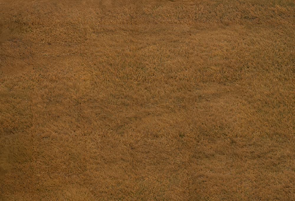 Kate Autumn Meadow Rubber Floor Mat for Photography - Kate Backdrop AU