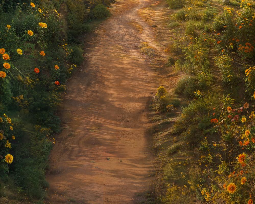 Kate Flower Dirt Trail Rubber Floor Mat for Photography