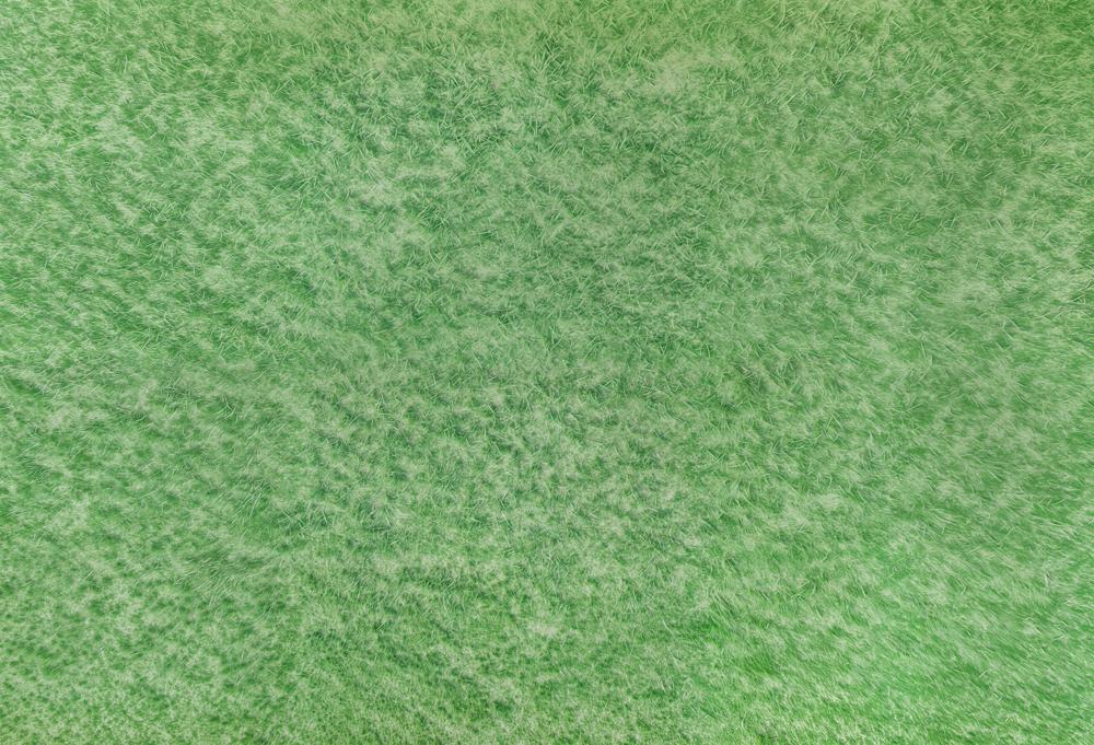Kate Green Grass Rubber Floor Mat for Photography