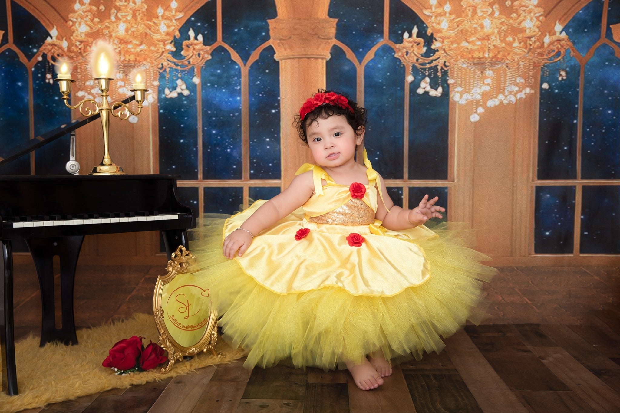 LONSALE Kate Beauty and the Beast Window Chandelier Backdrop Designed By Jerry_Sina - Kate Backdrop AU