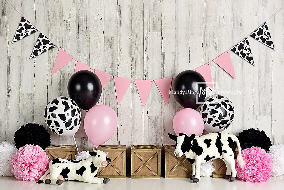 Kate Cow Girly Birthday Children Backdrop Designed By Mandy Ringe Photography - Kate Backdrop AU