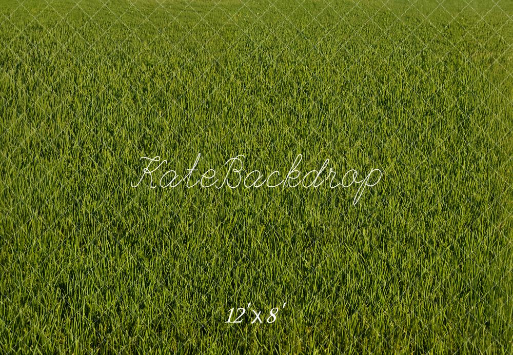Kate Green Grass Texture Backdrop Designed by Emetselch