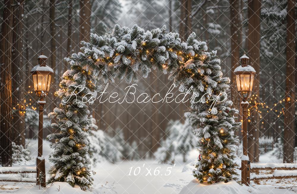 Kate Winter Arch Snowy Forest Fleece Backdrop Designed by Emetselch