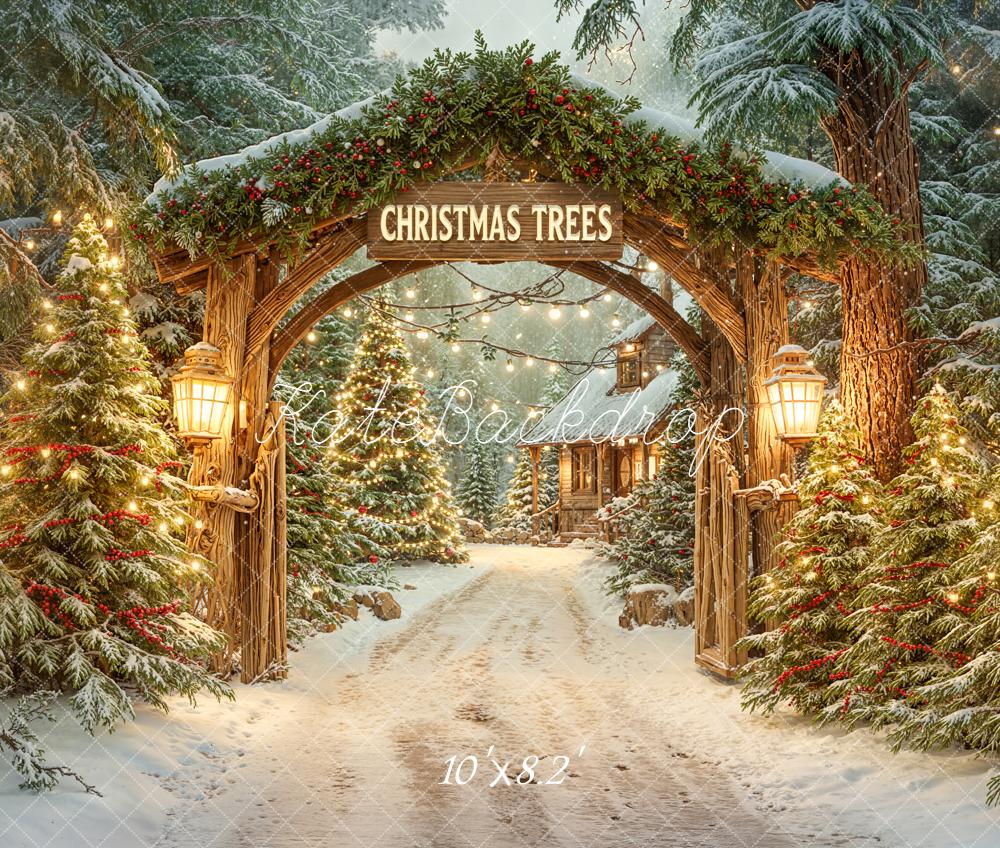 Kate Christmas Archway Snowy Trees Fleece Backdrop Designed by Emetselch