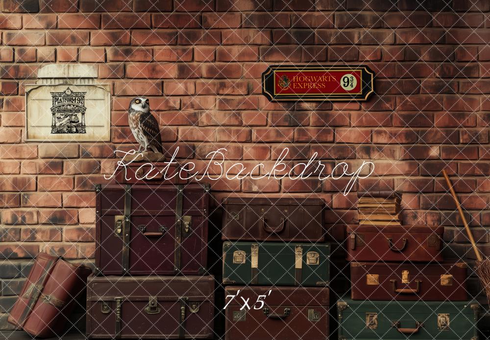 Kate Platform Luggage Owl Brick Wall Backdrop Designed by Patty Roberts - Kate Backdrop AU