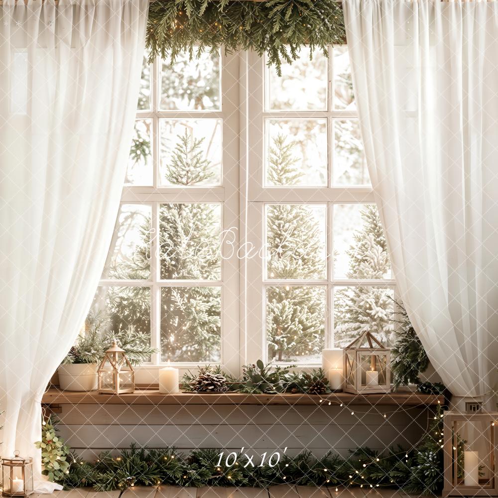 Kate Christmas Window Winter Backdrop Designed by Emetselch