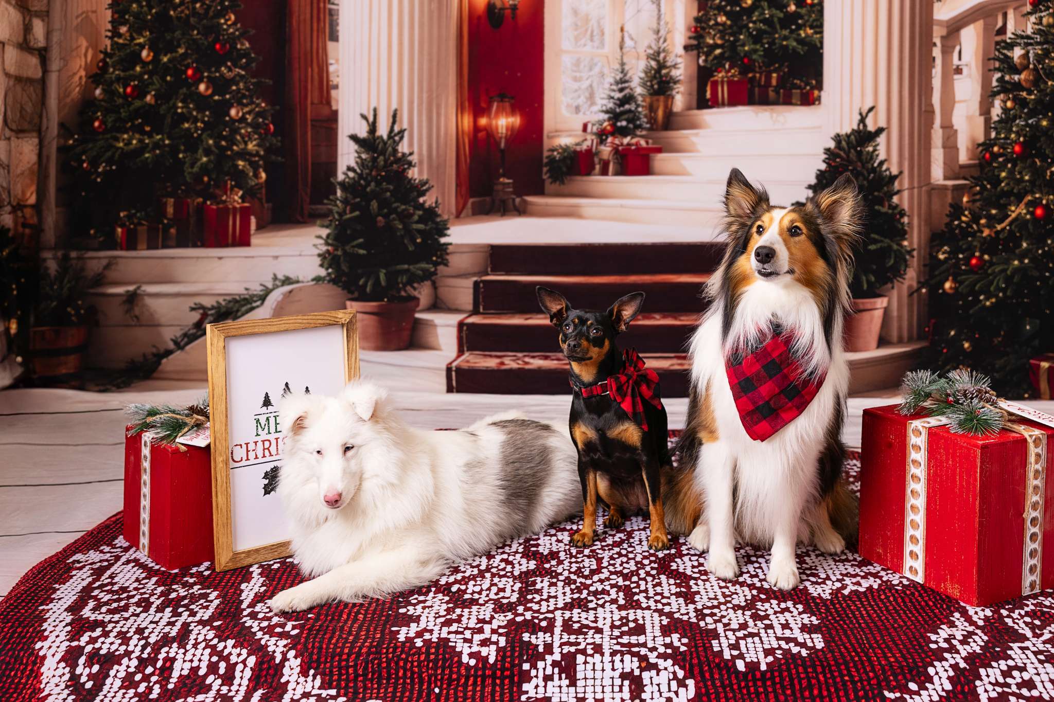 Kate Christmas Tree Stone Arch Staircase Room Set