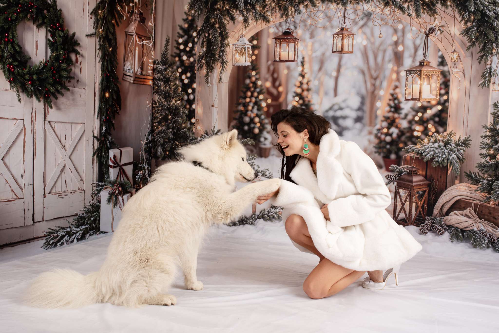 Kate Winter Christmas Arch Barn Door Snow Room Set - Kate Backdrop AU
