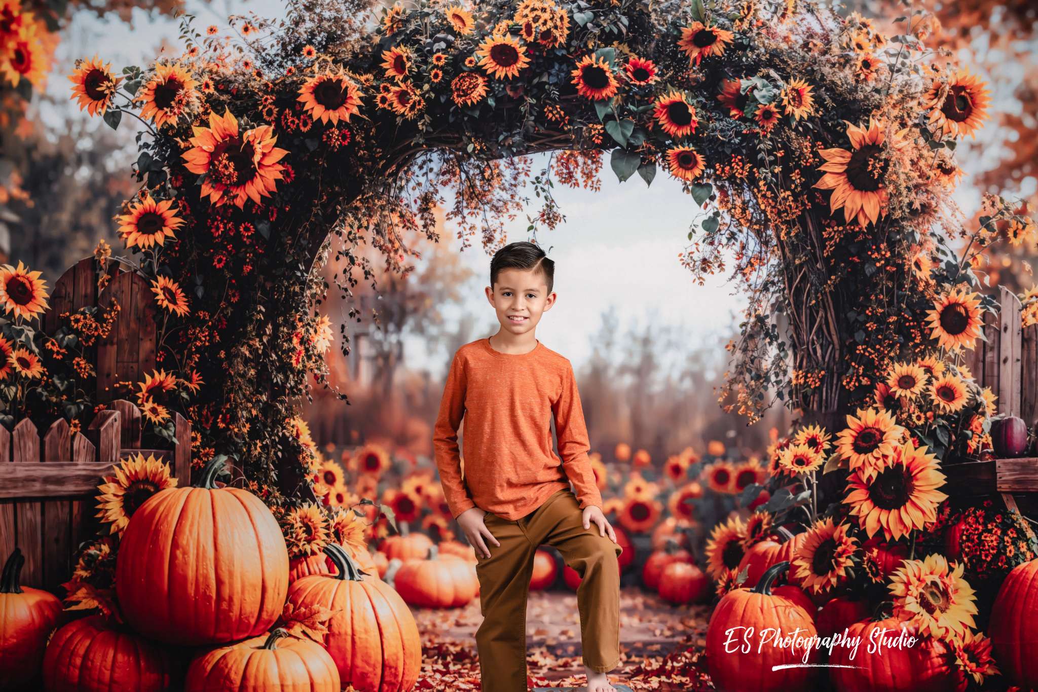 Kate Fleece Autumn Arch Pumpkin Backdrop Designed by Emetselch - Kate Backdrop AU