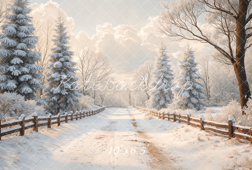 Kate Winter Snow Path Wooden Fence Fleece Backdrop Designed by Emetselch - Kate Backdrop AU