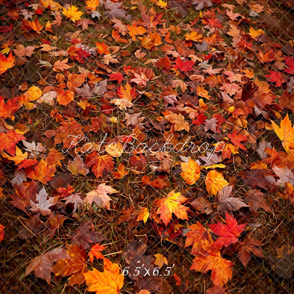 Kate Autumn Leaves Ground Backdrop Designed by Kate Image