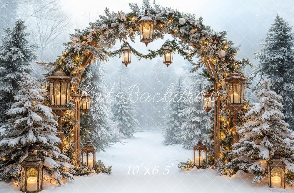 Kate Christmas Arch Winter Snow Forest Fleece Backdrop Designed by Emetselch