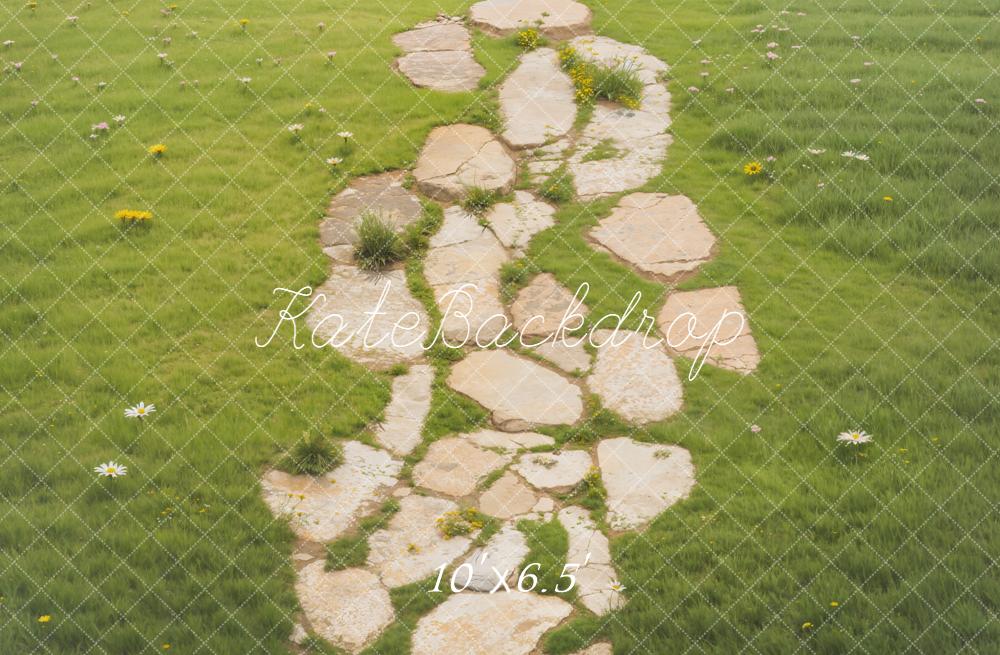 Kate Stone Path Grass Daisies Backdrop Designed by Emetselch