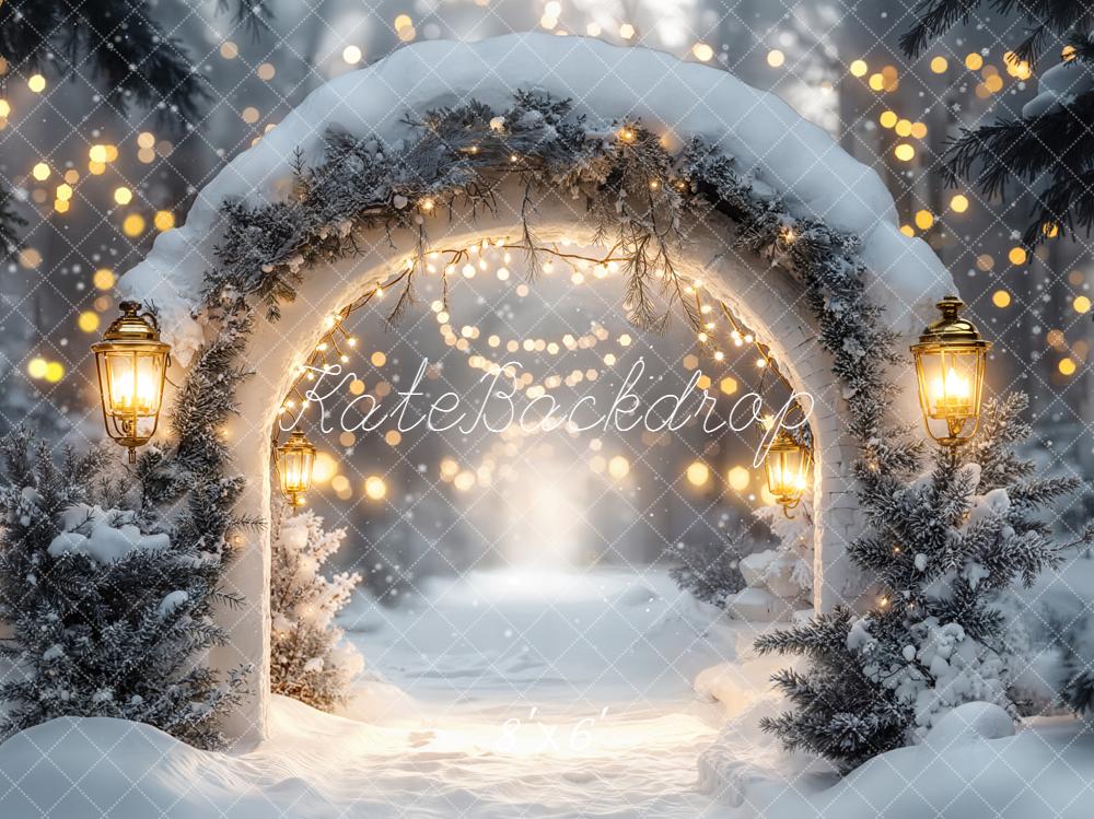 Kate Winter Arch Snow Lights Backdrop Designed by Emetselch - Kate Backdrop AU