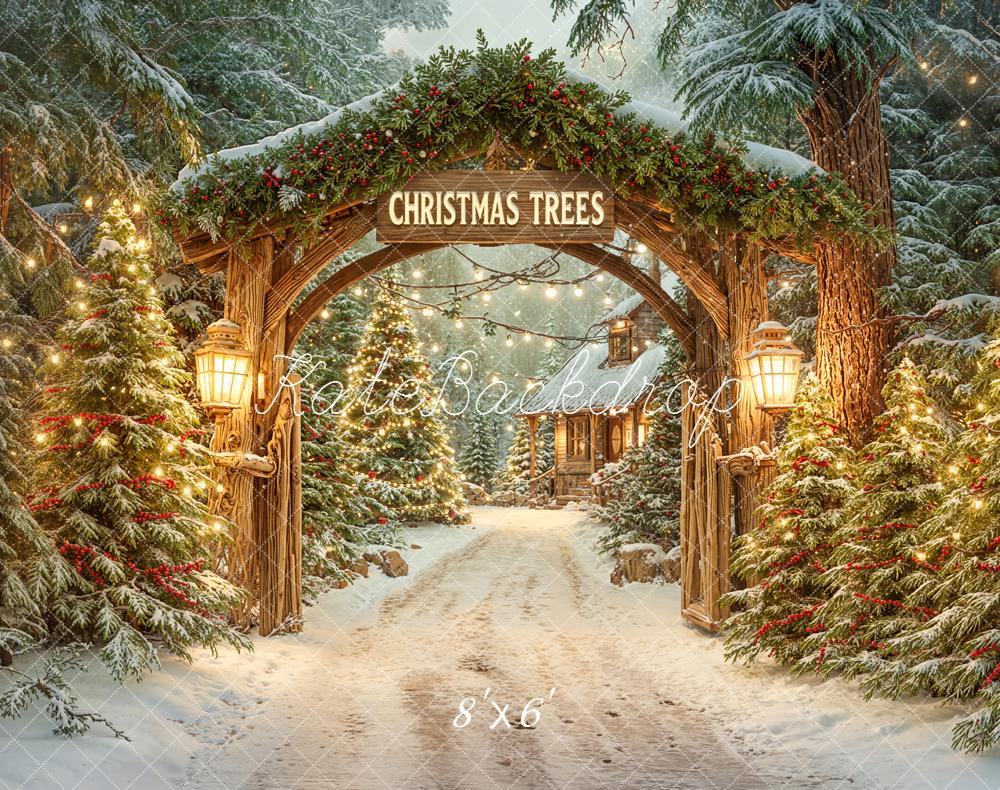 Kate Christmas Archway Snowy Trees Fleece Backdrop Designed by Emetselch