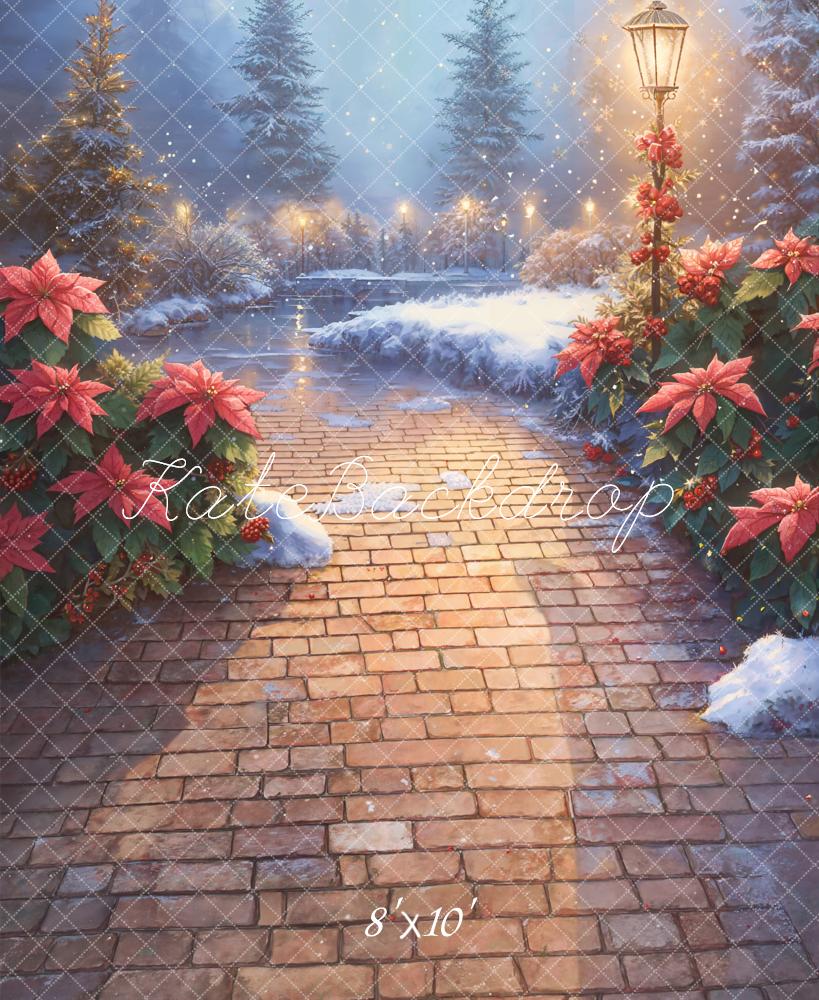 Kate Christmas Poinsettia Snowy Path Fleece Backdrop Designed by Kate Image - Kate Backdrop AU