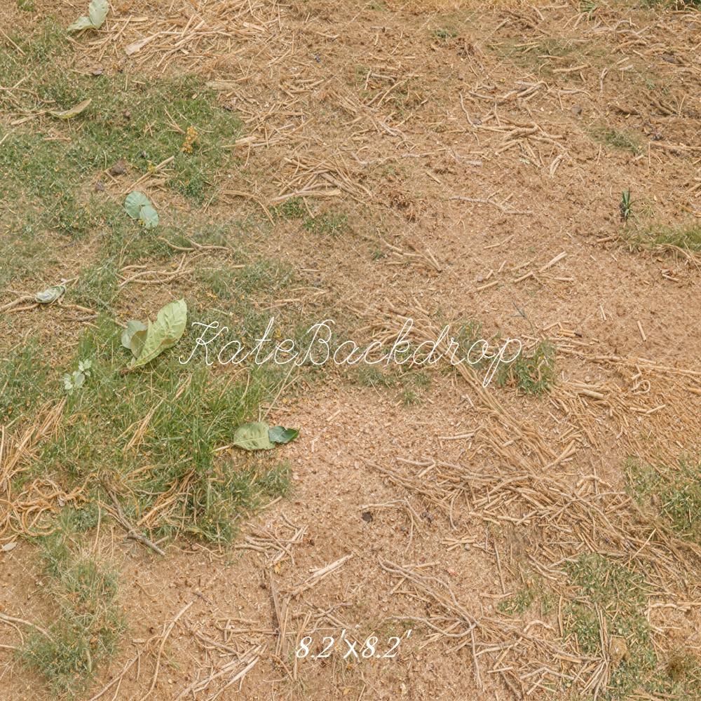 Kate Dry Grass Leaves Ground Backdrop Designed by Kate Image
