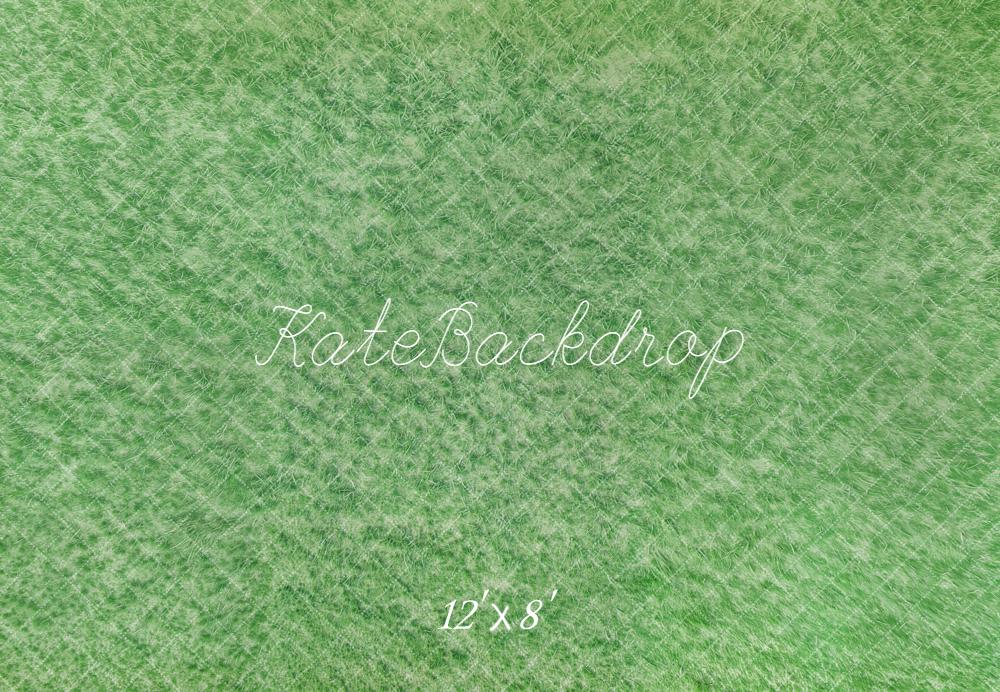 Kate Green Grass Abstract Fleece Backdrop Designed by Kate Image