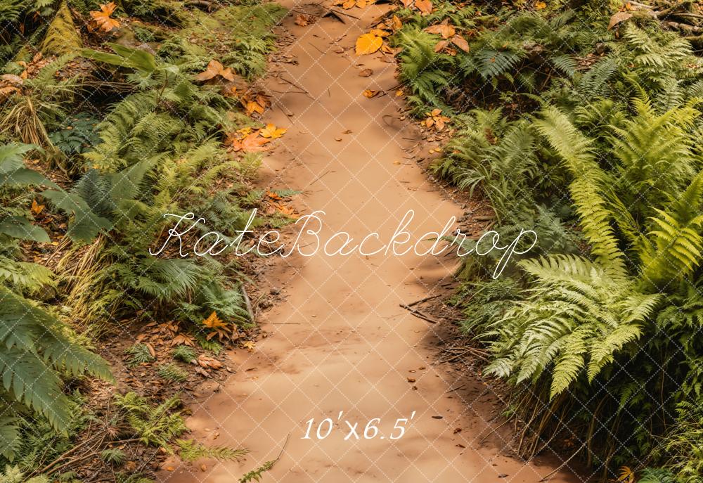 Kate Forest Dirt Path Ferns Fleece Backdrop Designed by Emetselch - Kate Backdrop AU