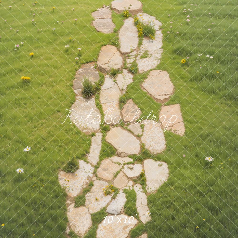 Kate Stone Path Grass Daisies Backdrop Designed by Emetselch