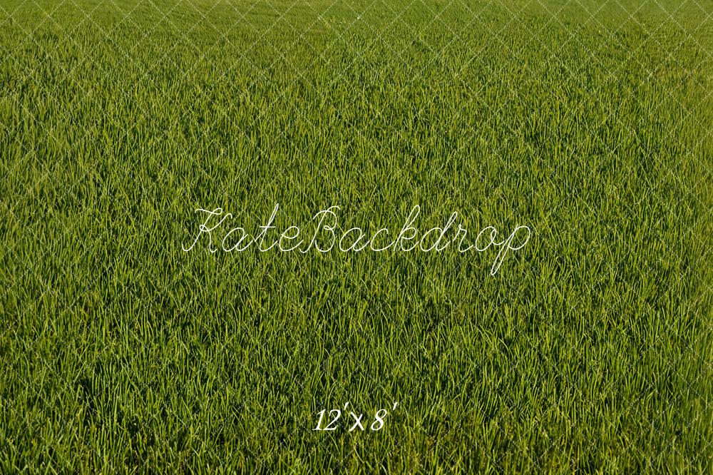 Kate Green Grass Texture Backdrop Designed by Emetselch