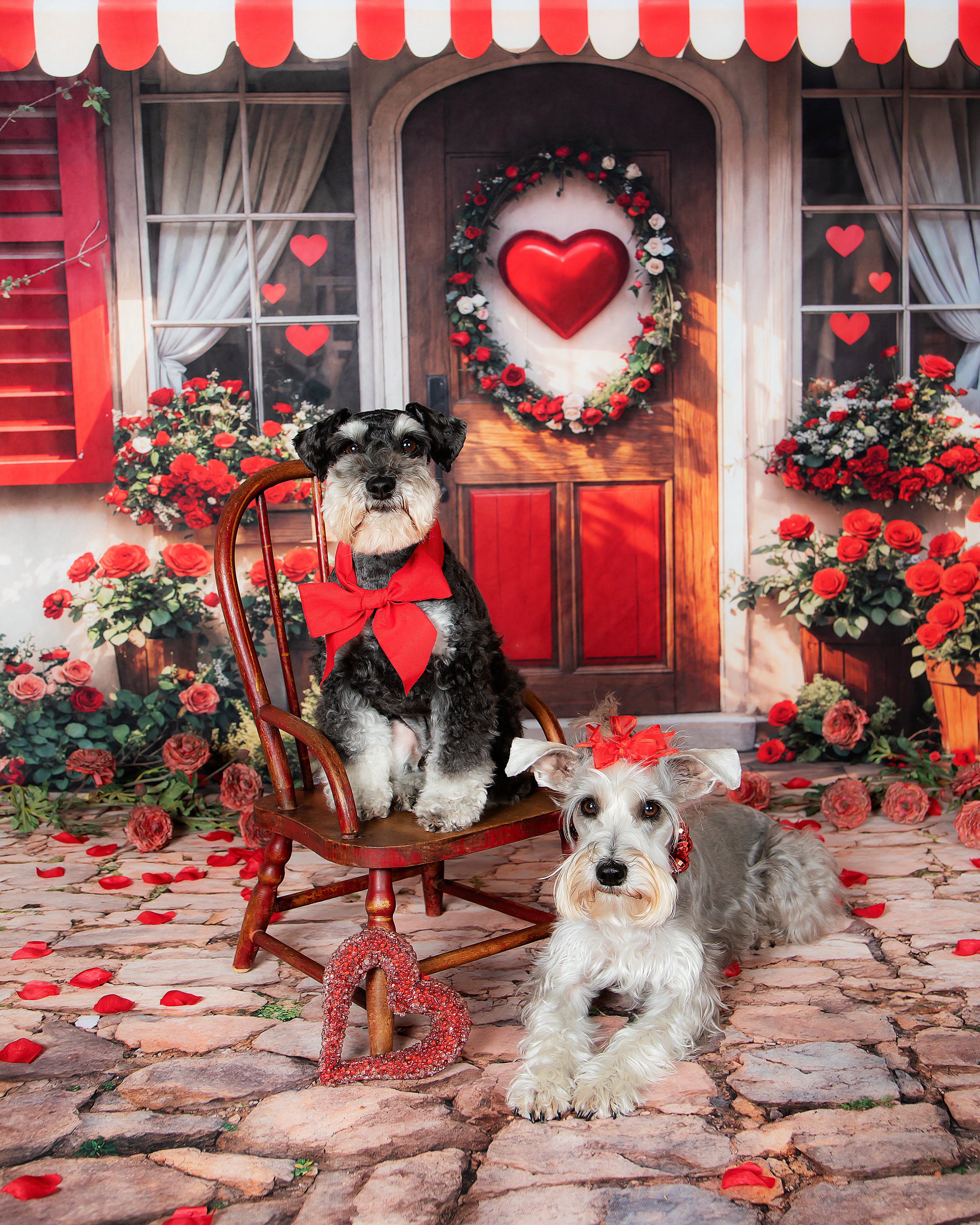 Kate Valentine Red Roses Heart Door Backdrop Designed by Emetselch - Kate Backdrop AU