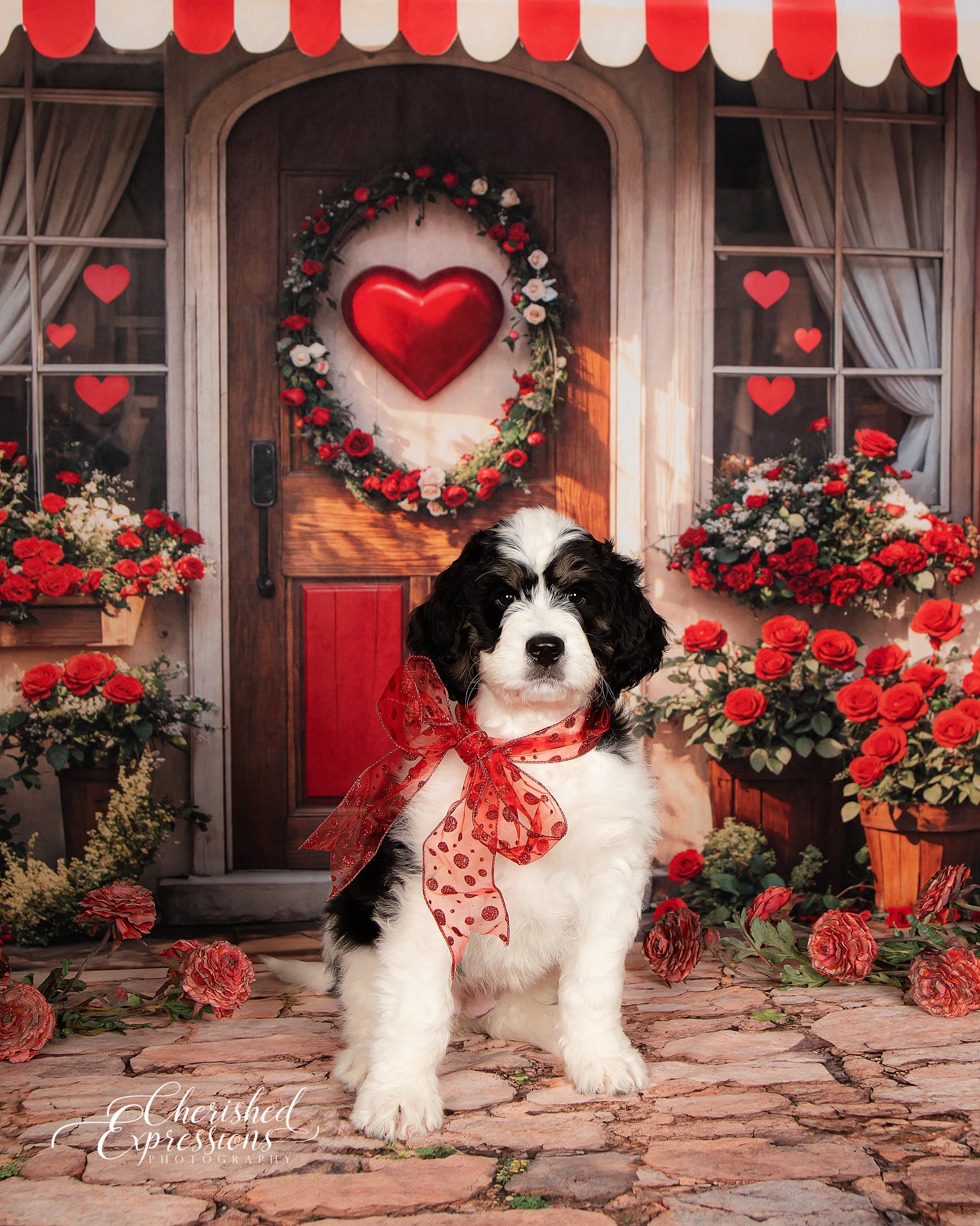 Kate Valentine Red Roses Heart Door Backdrop Designed by Emetselch - Kate Backdrop AU