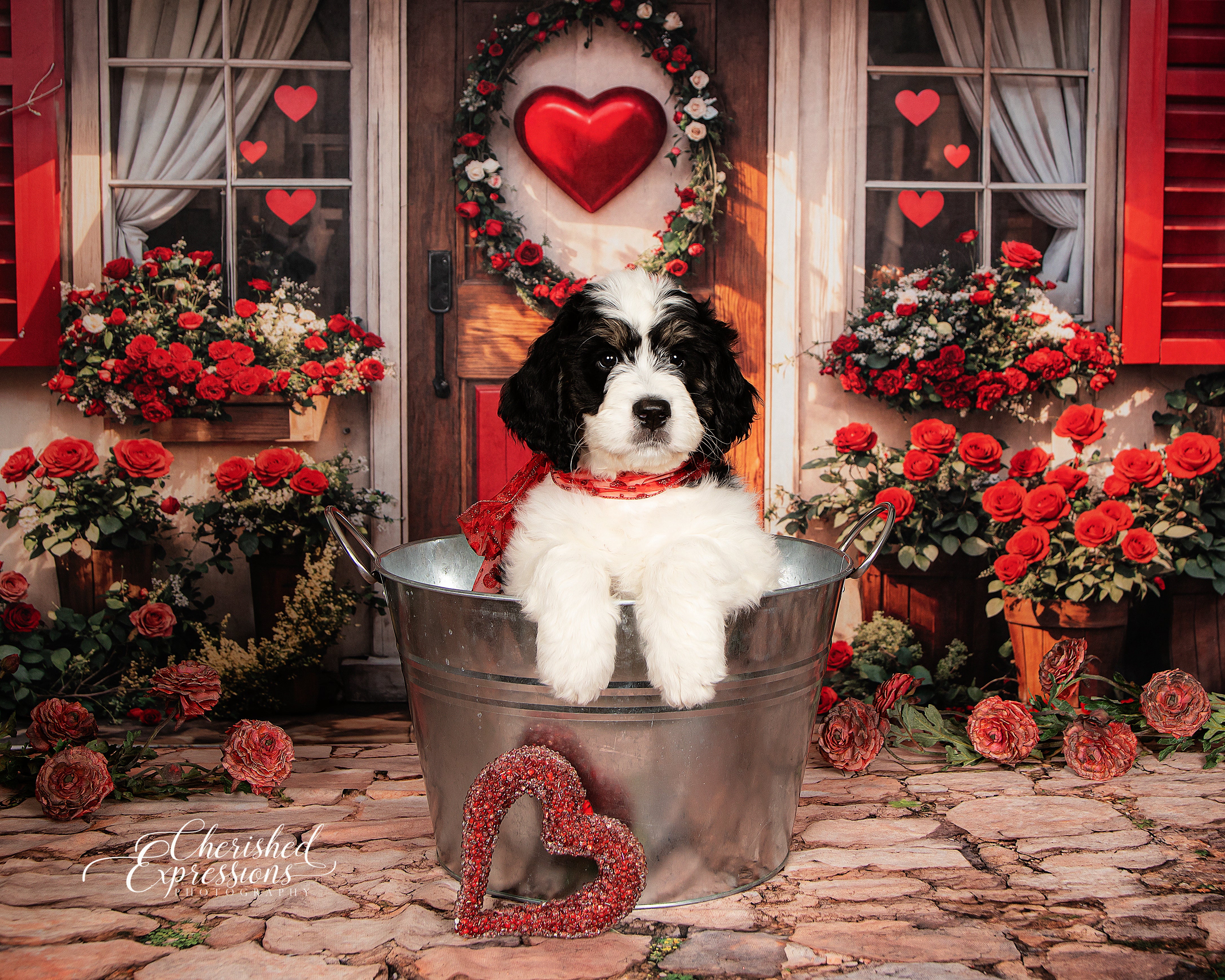 Kate Valentine Red Roses Heart Door Backdrop Designed by Emetselch - Kate Backdrop AU