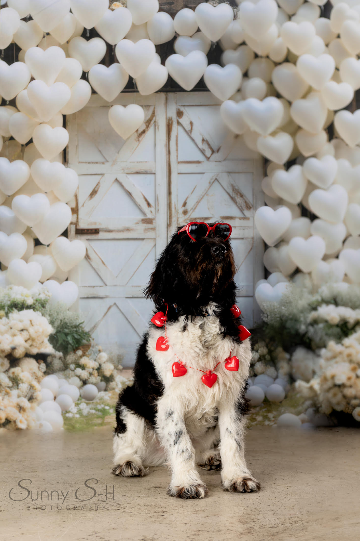 Kate Valentine Barn Door Hearts Backdrop Designed by Mini MakeBelieve