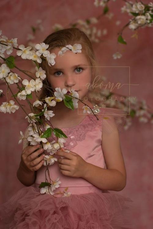 Kate Pink Rosy Blush Backdrop for Photography Designed by Modest Brushes