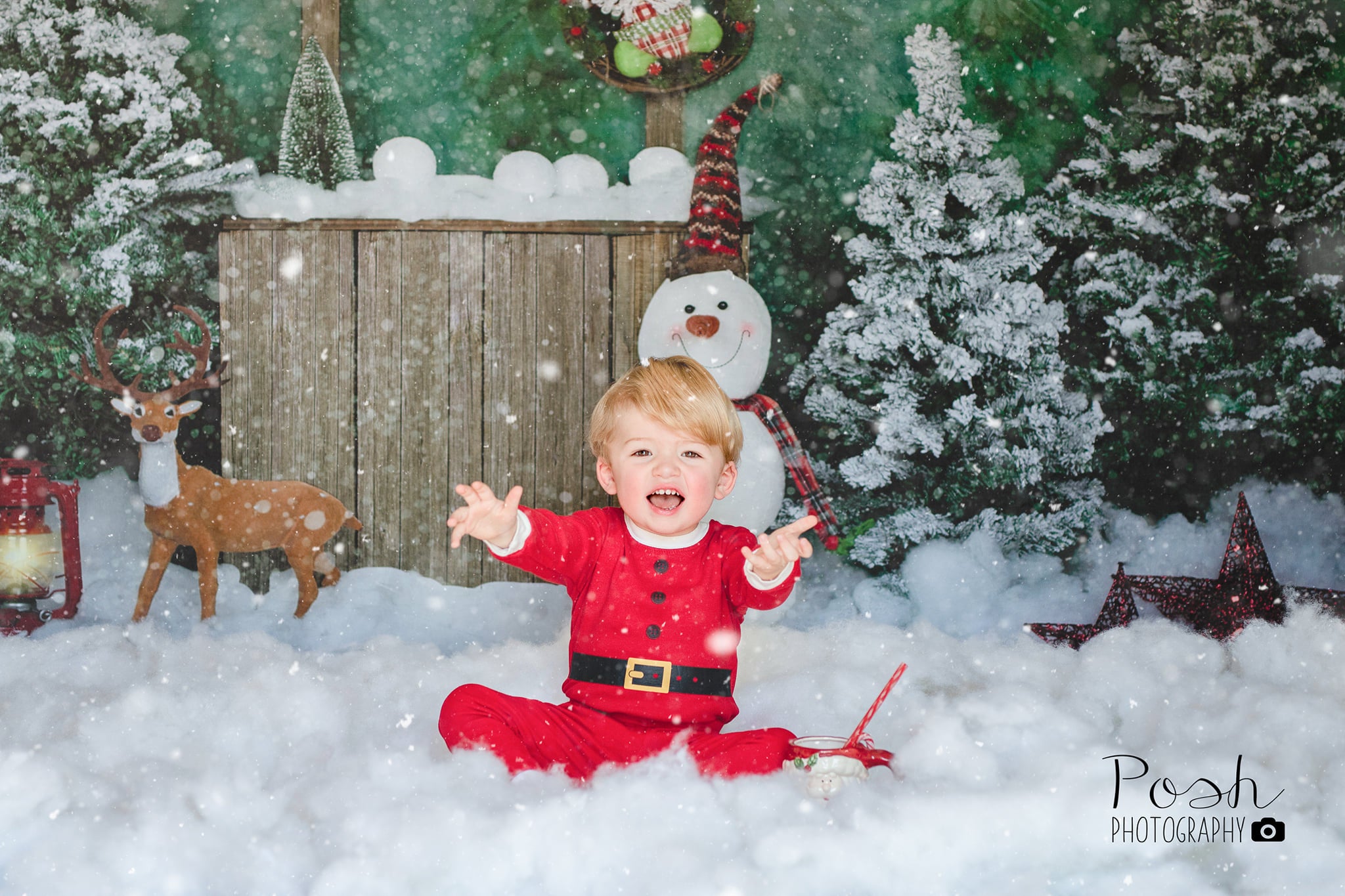 Kate Winter Christmas Backdrop with Snowman for Portrait Designed by Jia Chan Photography - Kate Backdrop AU