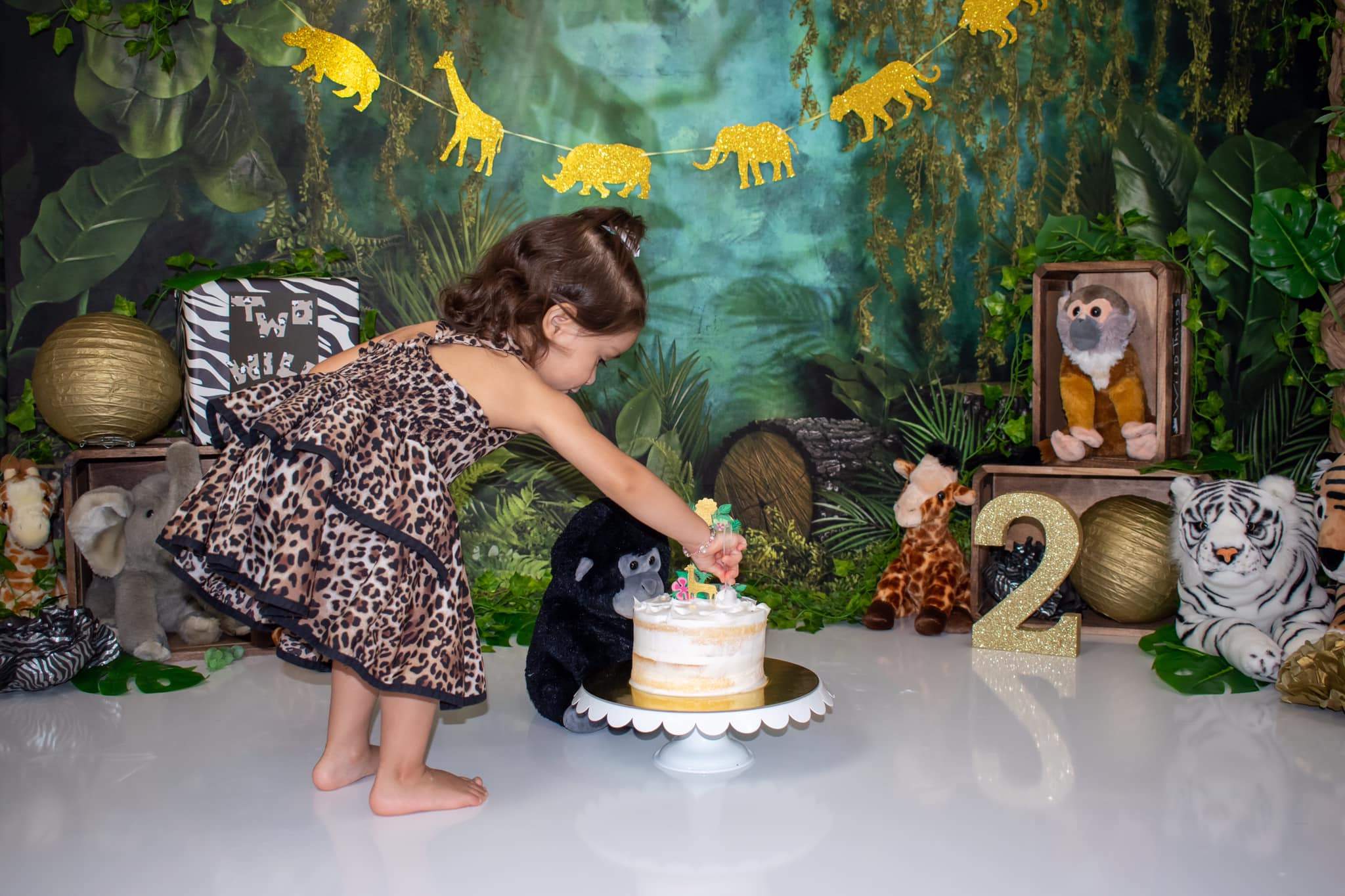 Kate Jungle Backdrop Designed by Mandy Ringe Photography - Kate Backdrop AU