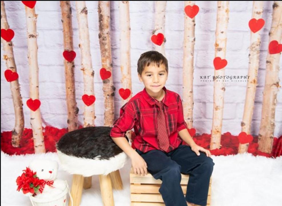 Kate Valentine's Day Roses Wooden Stick Backdrop Designed by Jia Chan Photography - Kate Backdrop AU