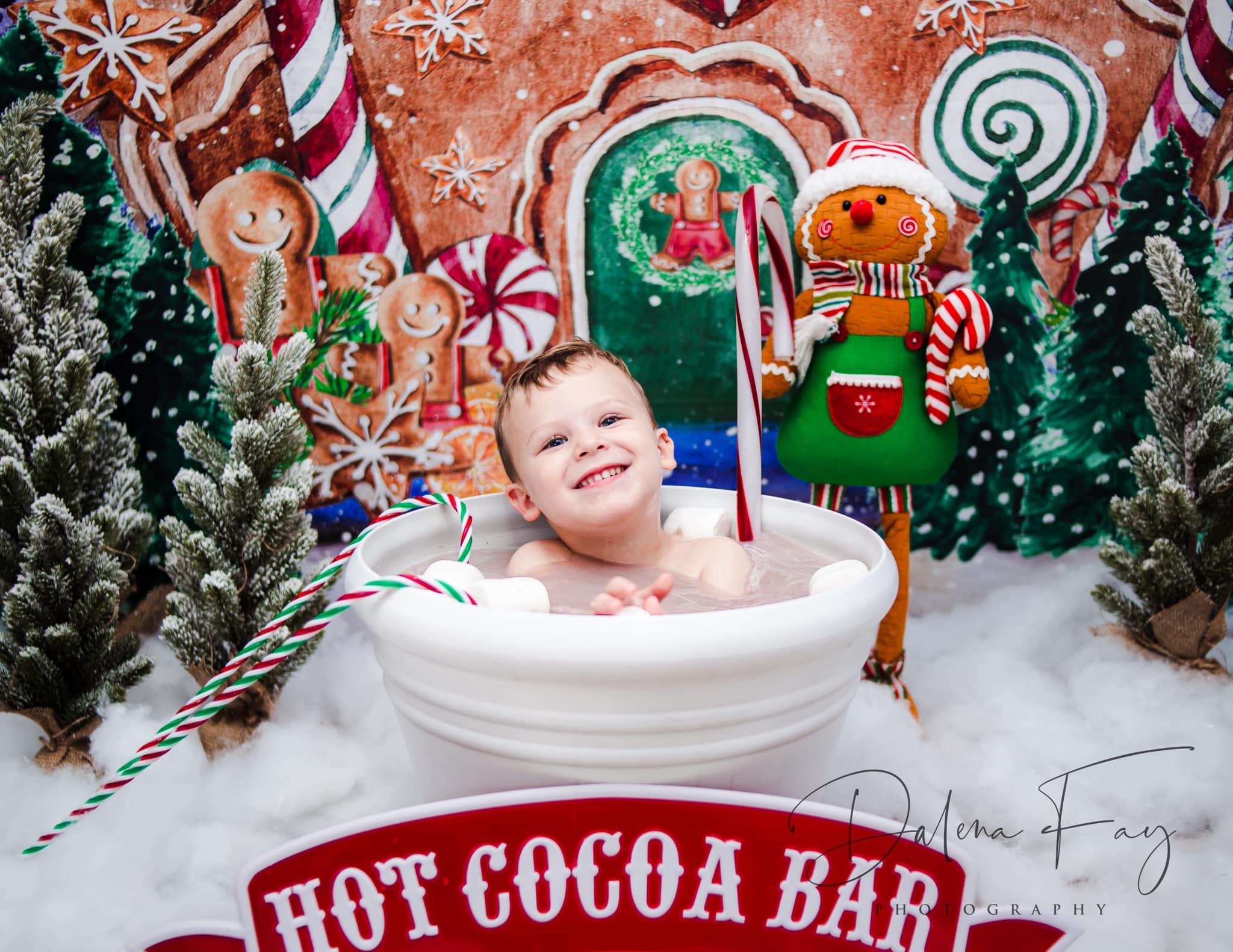 Kate Christmas Backdrop Outside Gingerbread House Designed by GQ