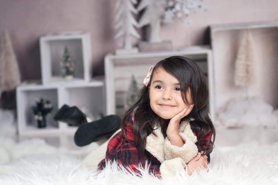 Kate Elegant Christmas Winter Display Backdrop for Photography Designed By Mandy Ringe Photography - Kate Backdrop AU
